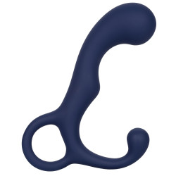 CalExotics Viceroy Stimulateur de prostate Agility Probe Viceroy 9 x 3cm